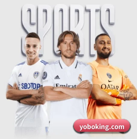 YOBO体育首页导航，四大体育服务直达不迷路